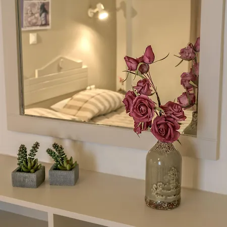 Aloe