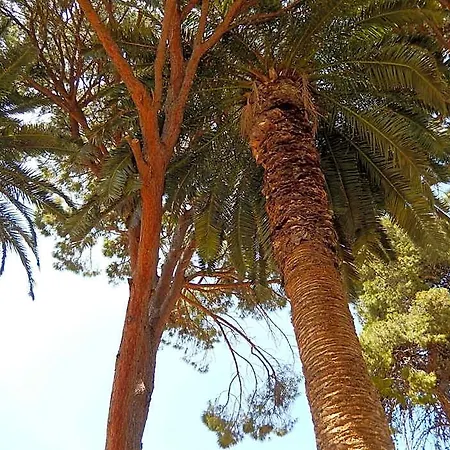 Aloe Hotel 2*